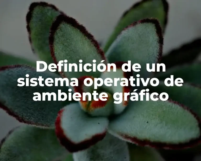 Definición de un sistema operativo de ambiente gráfico
