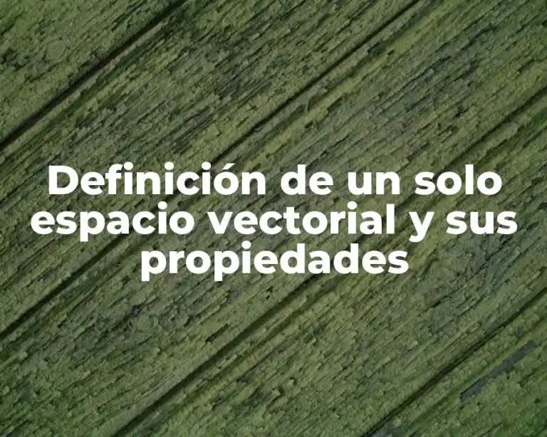 Definición de un solo espacio vectorial y sus propiedades