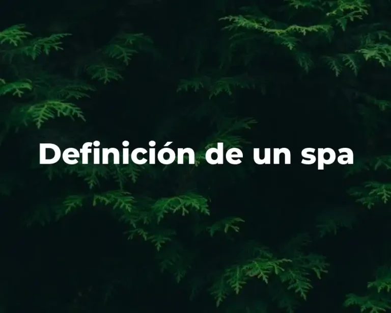 Definición de un spa