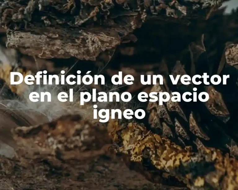 Definición de un vector en el plano espacio igneo
