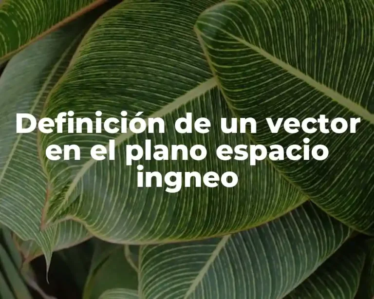 Definición de un vector en el plano espacio ingneo