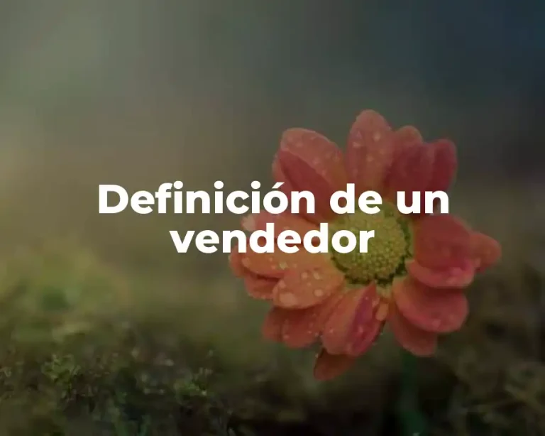 Definición de un vendedor