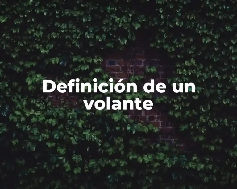 Definición de un volante