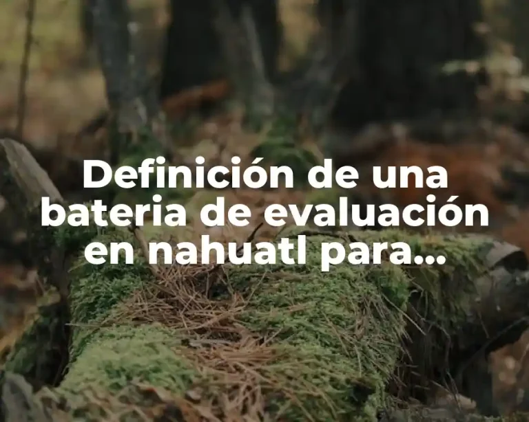 Definición de una bateria de evaluación en nahuatl para preescolar
