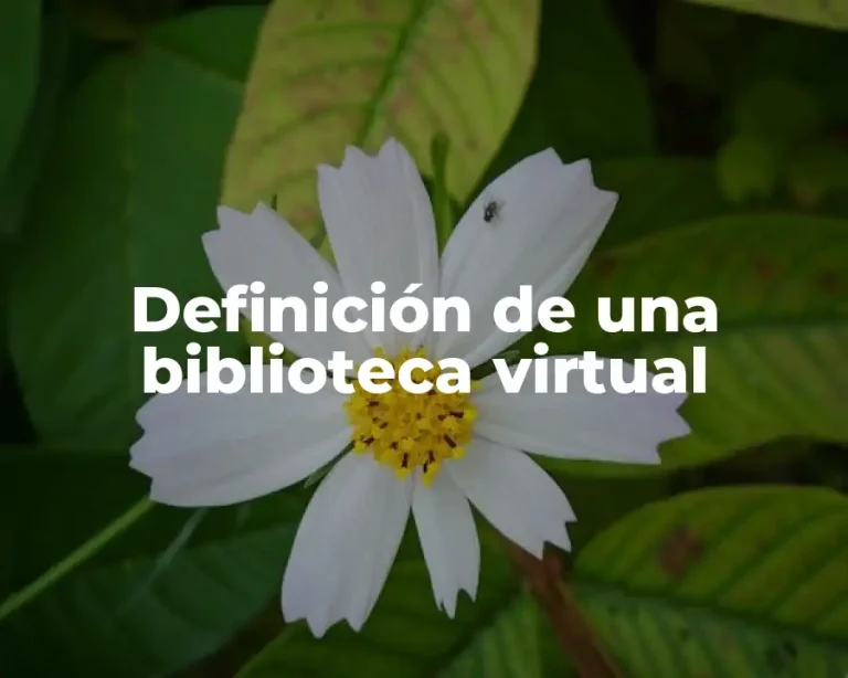 Definición de una biblioteca virtual