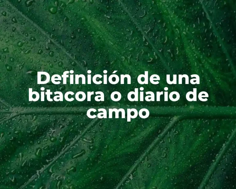 Definición de una bitacora o diario de campo