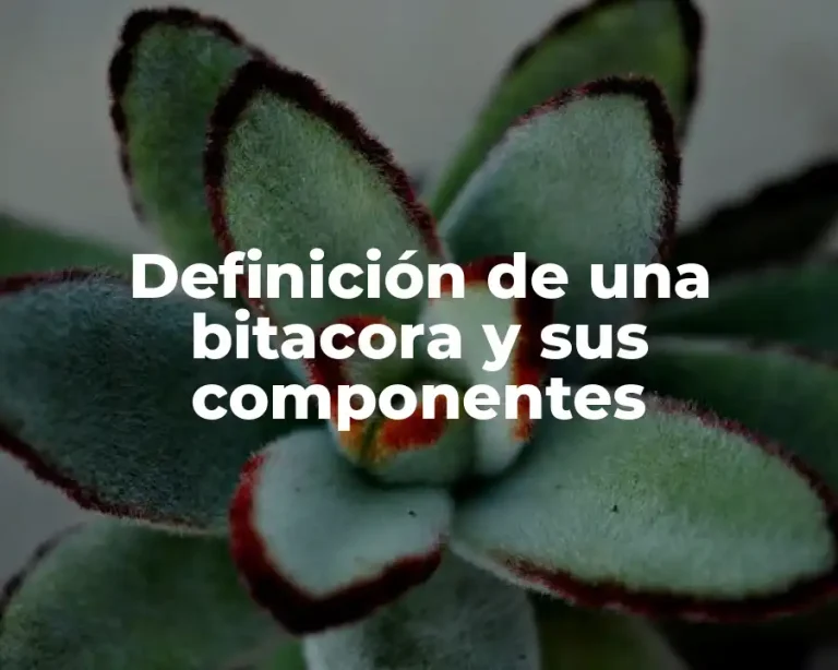 Definición de una bitacora y sus componentes