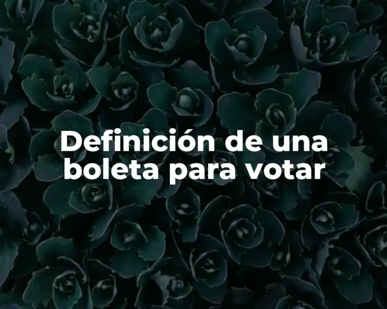 Definición de una boleta para votar