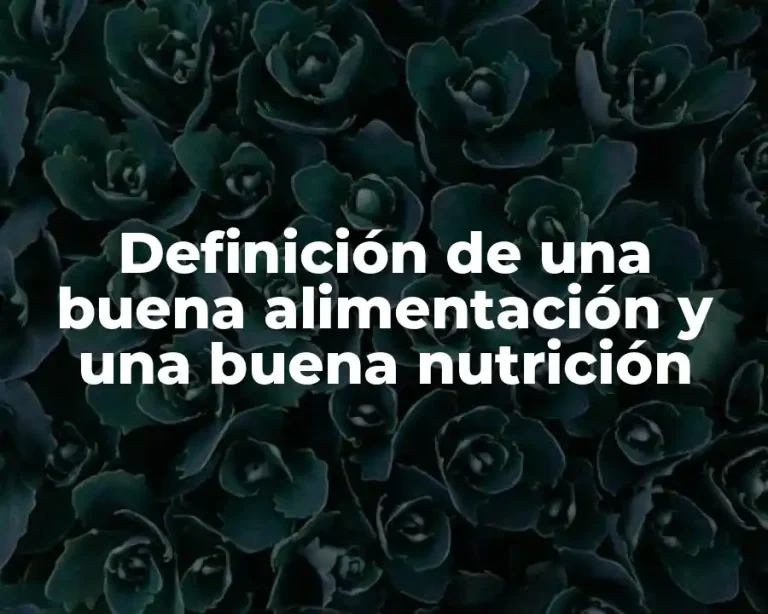 Definición de una buena alimentación y una buena nutrición