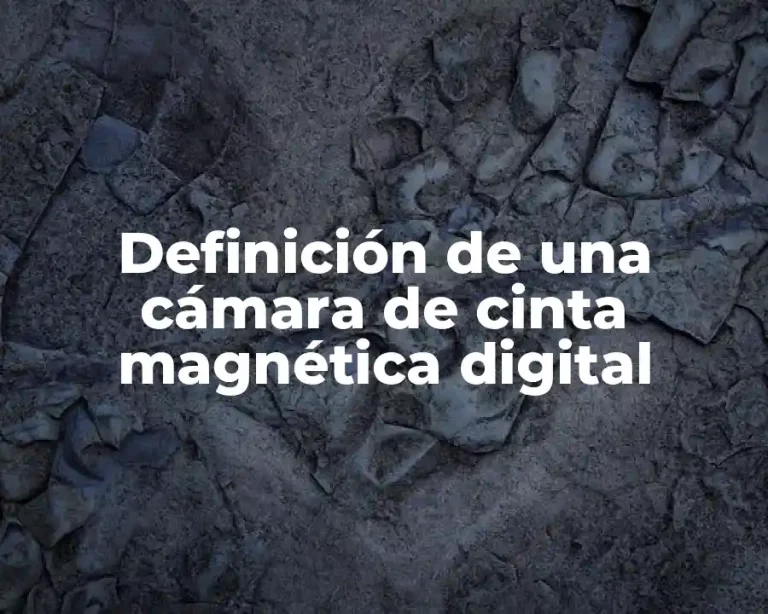 Definición de una cámara de cinta magnética digital