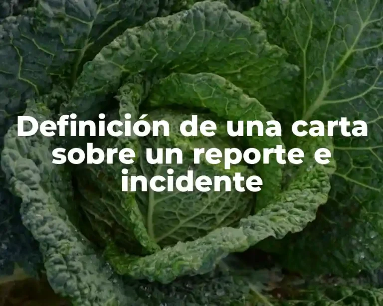 Definición de una carta sobre un reporte e incidente