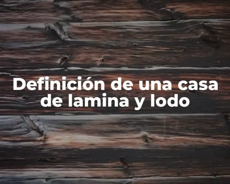 Definición de una casa de lamina y lodo