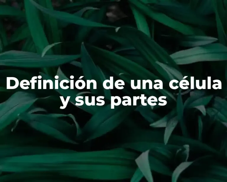 Definición de una célula y sus partes