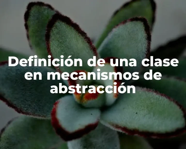 Definición de una clase en mecanismos de abstracción