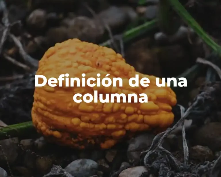 Definición de una columna