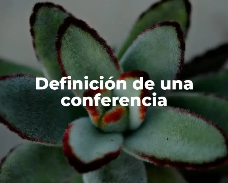 Definición de una conferencia