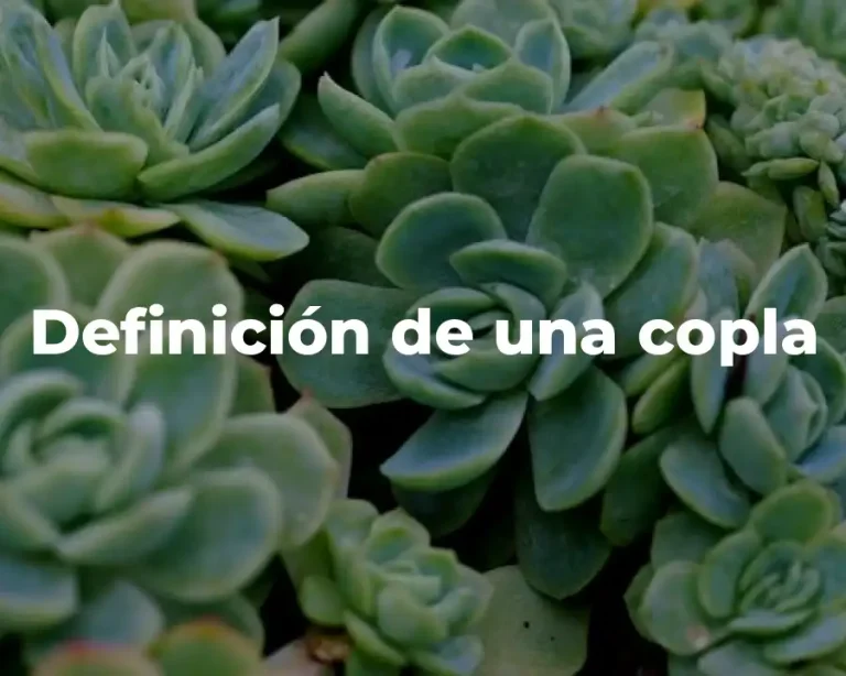 Definición de una copla