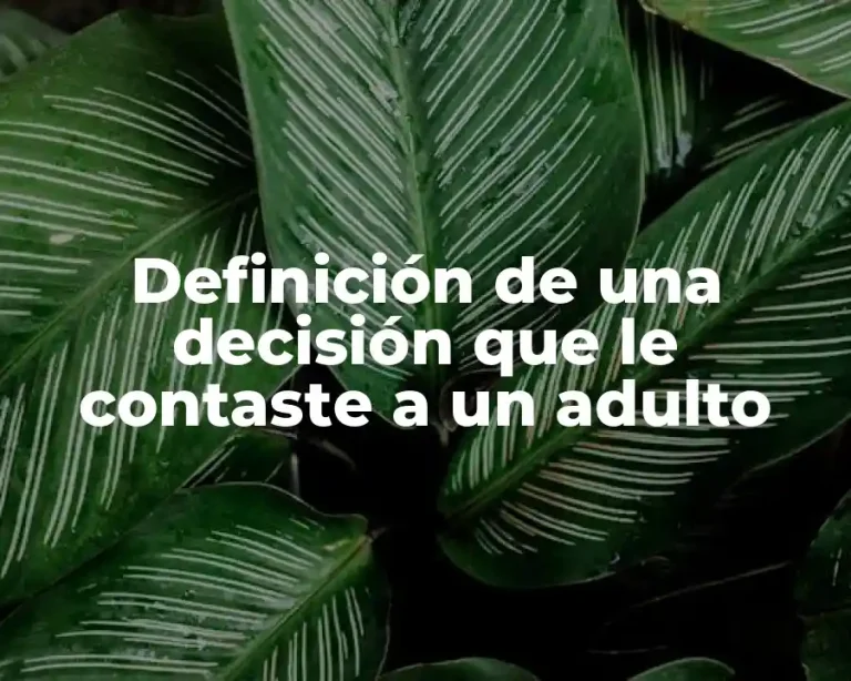 Definición de una decisión que le contaste a un adulto