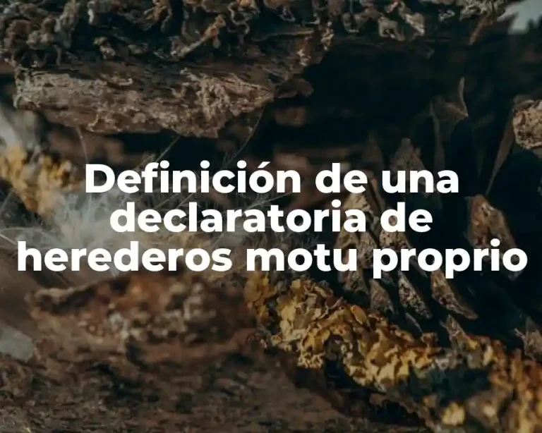 Definición de una declaratoria de herederos motu proprio