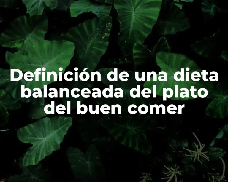 Definición de una dieta balanceada del plato del buen comer