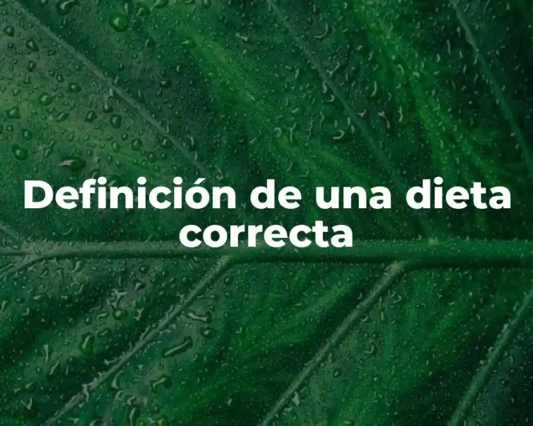 Definición de una dieta correcta