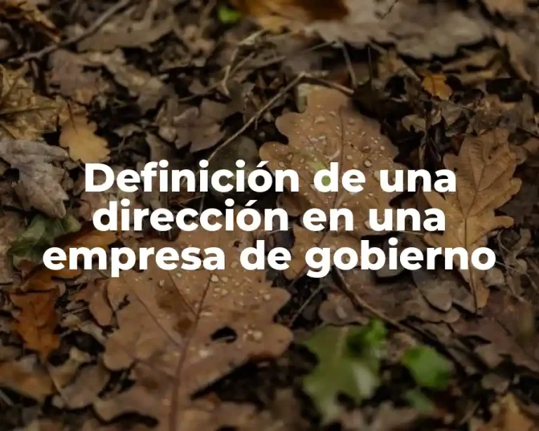 Definición de una dirección en una empresa de gobierno