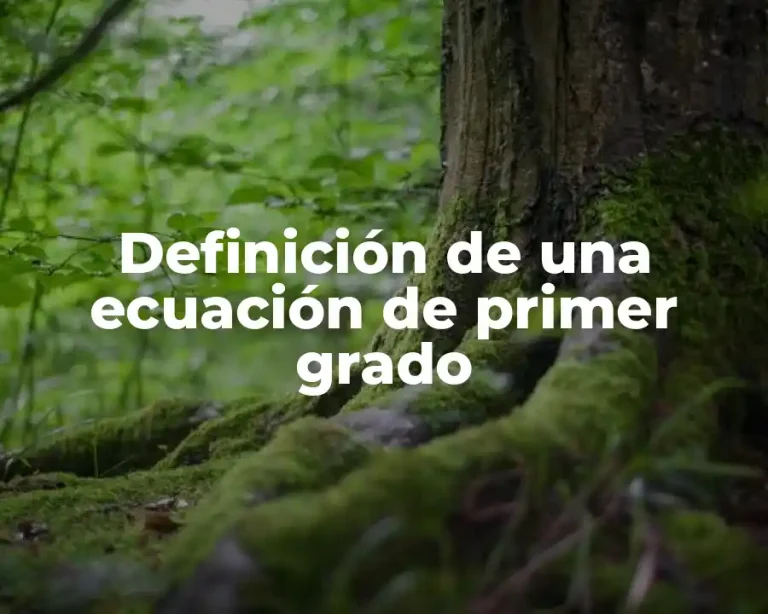 Definición de una ecuación de primer grado
