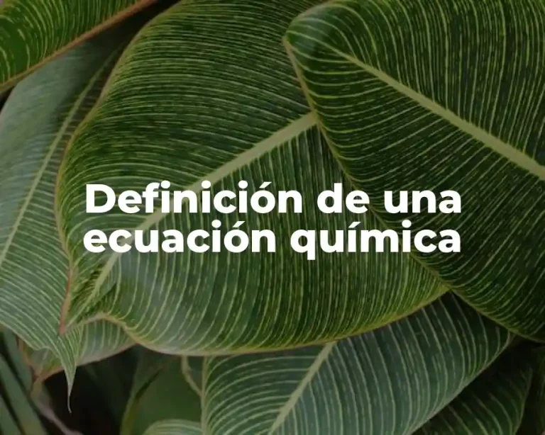 Definición de una ecuación química