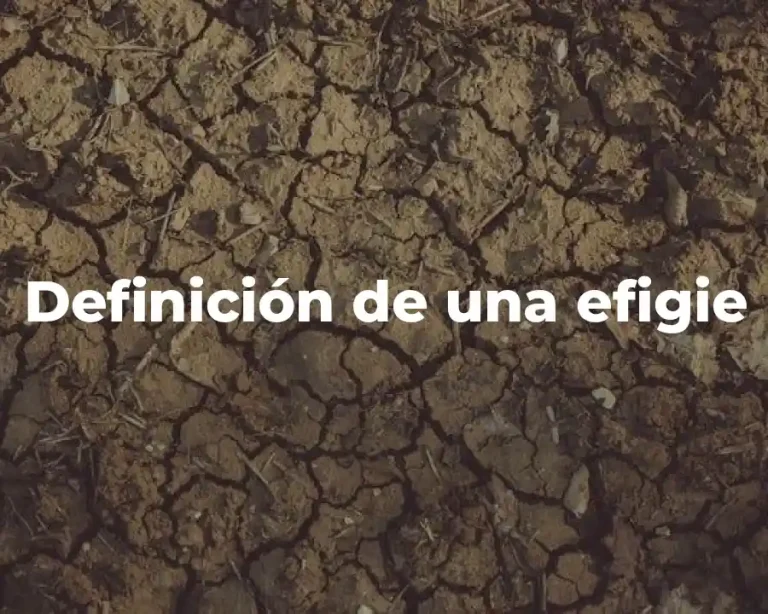 Definición de una efigie