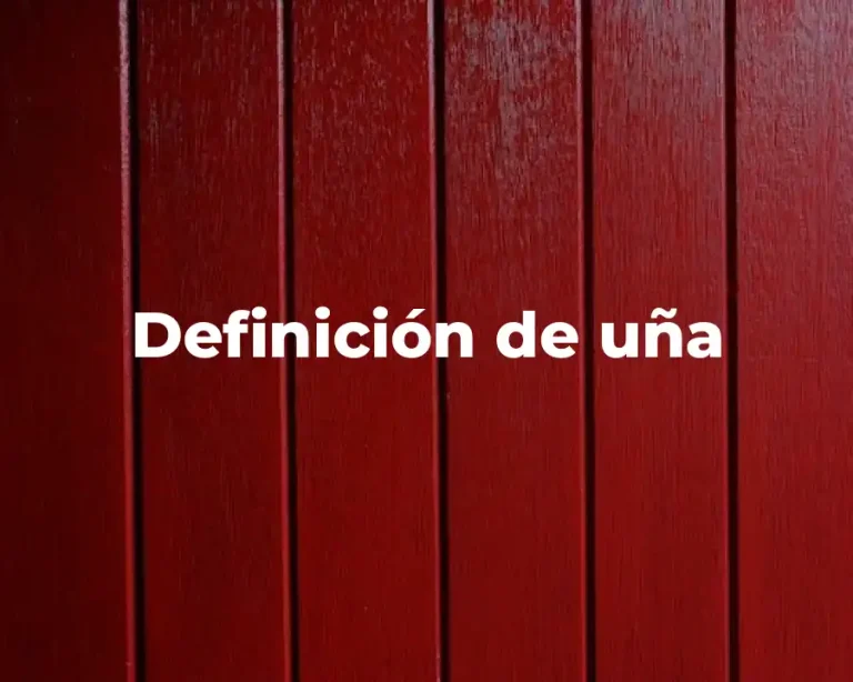 Definición de uña