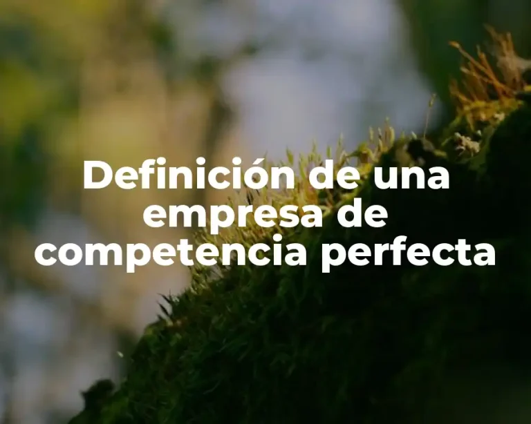 Definición de una empresa de competencia perfecta