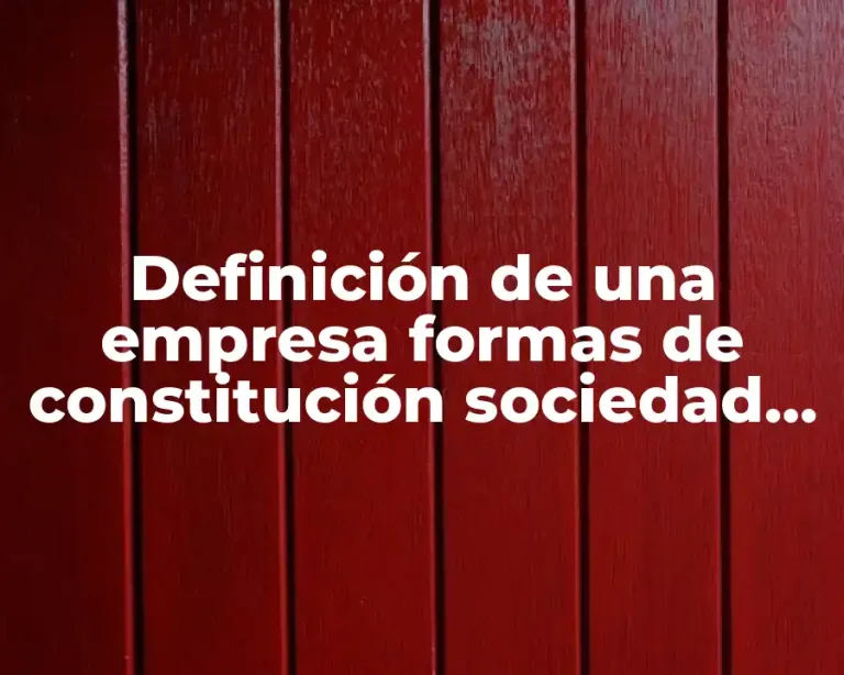 Definición de una empresa formas de constitución sociedad anónima
