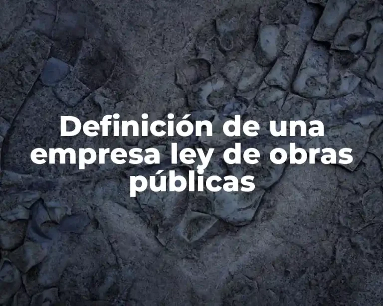 Definición de una empresa ley de obras públicas