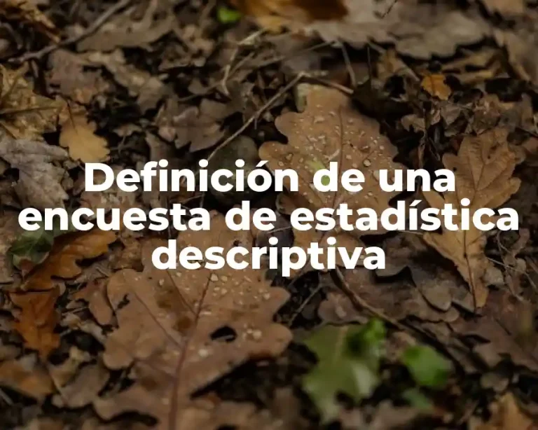 Definición de una encuesta de estadística descriptiva