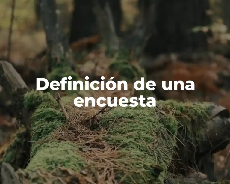 Definición de una encuesta