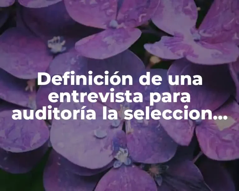 Definición de una entrevista para auditoría la seleccion de personal