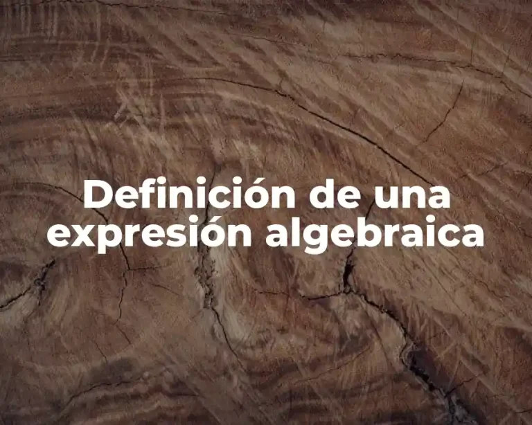 Definición de una expresión algebraica