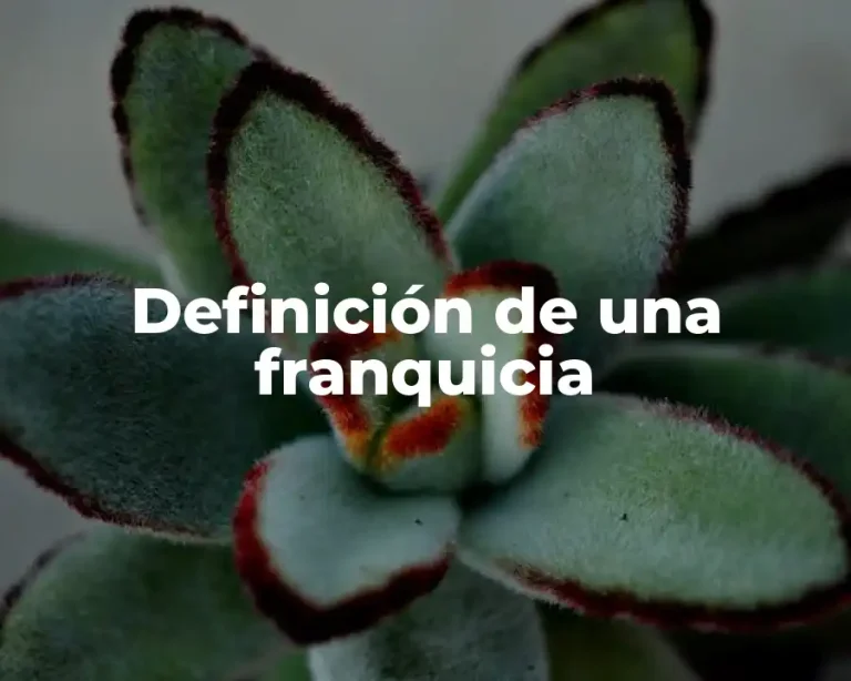Definición de una franquicia