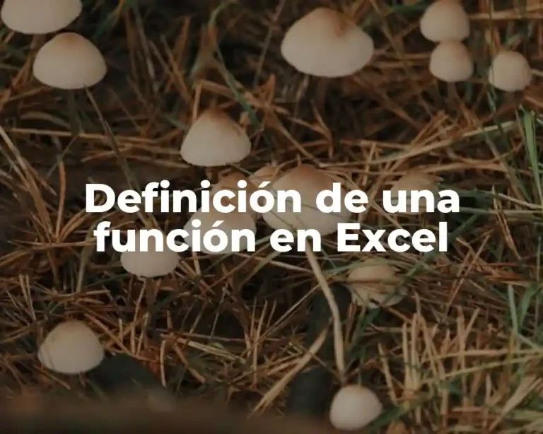 Definición de una función en Excel