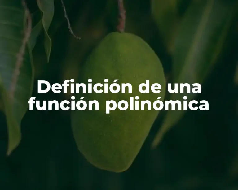 Definición de una función polinómica
