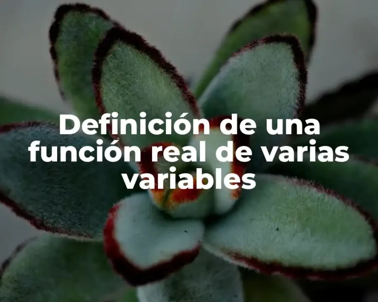 Definición de una función real de varias variables