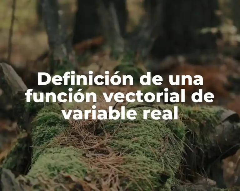 Definición de una función vectorial de variable real
