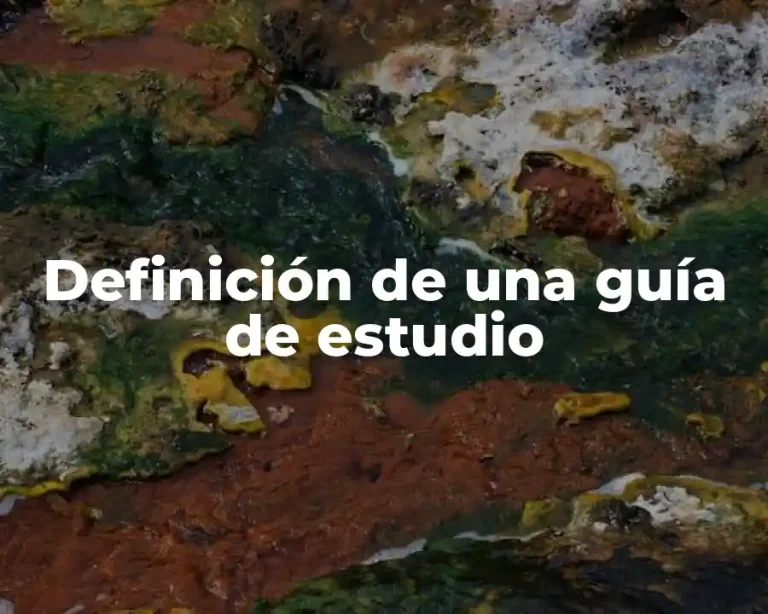 Definición de una guía de estudio