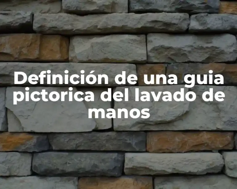 Definición de una guia pictorica del lavado de manos