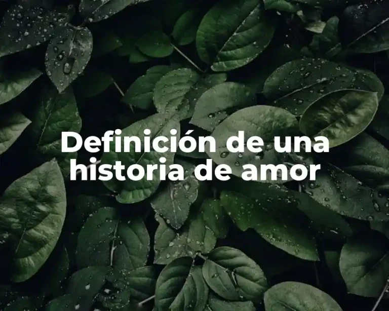 Definición de una historia de amor