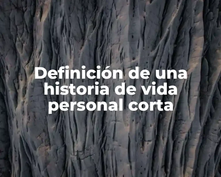 Definición de una historia de vida personal corta