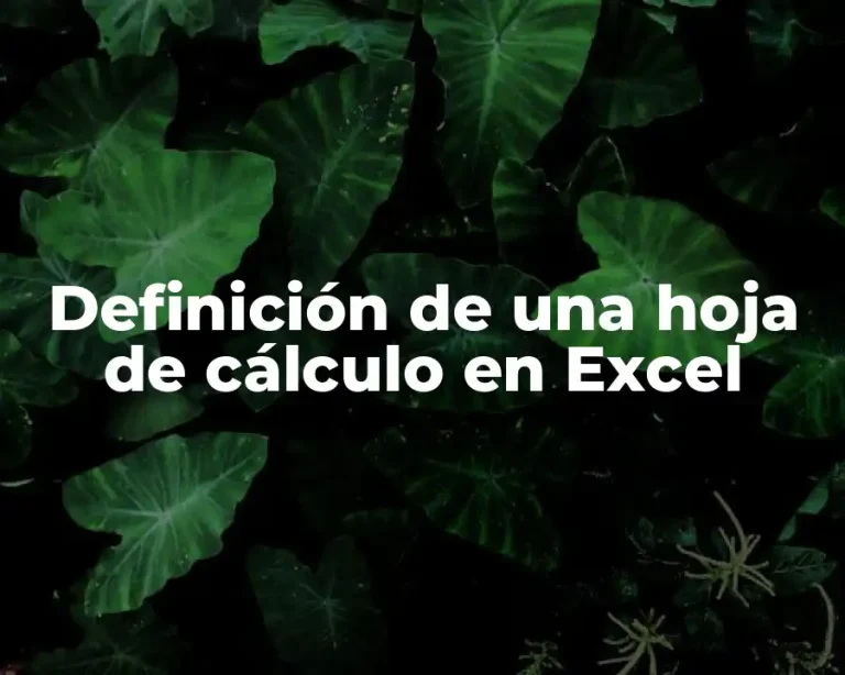 Definición de una hoja de cálculo en Excel