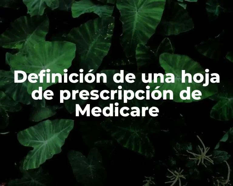 Definición de una hoja de prescripción de Medicare