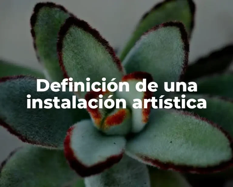 Definición de una instalación artística