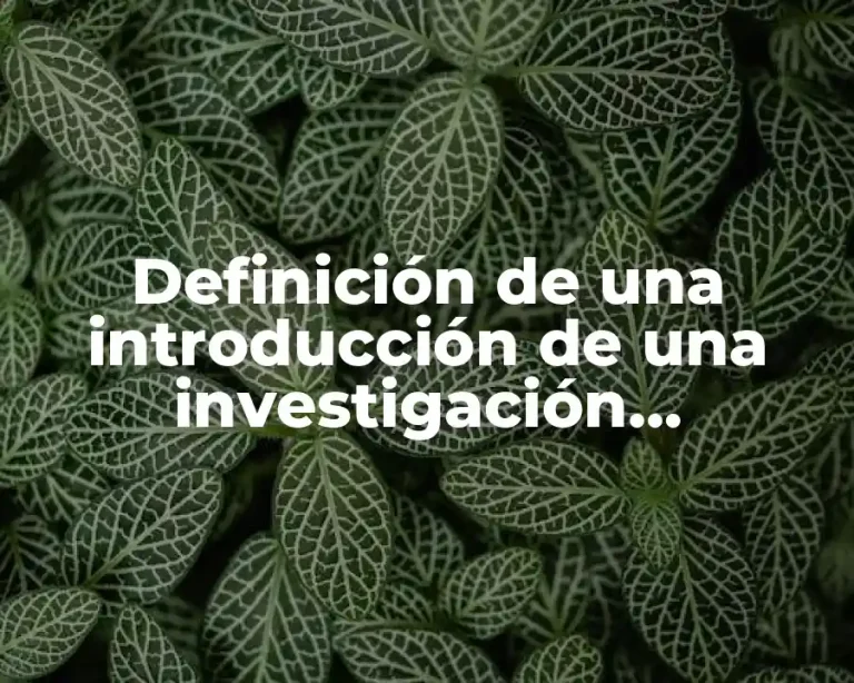 Definición de una introducción de una investigación documental